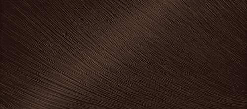 Bigen One Push Hair Color 6 Darkest Brown - 2 Pack (2.82 oz Each) Avelisse