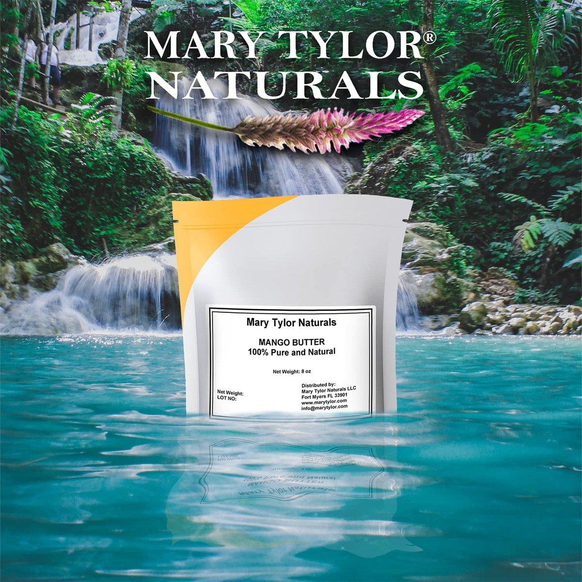 Mary Tylor Naturals Pure Mango Butter – 8 oz Cold Pressed, Unrefined, Raw for Hair, Skin & Nails Avelisse