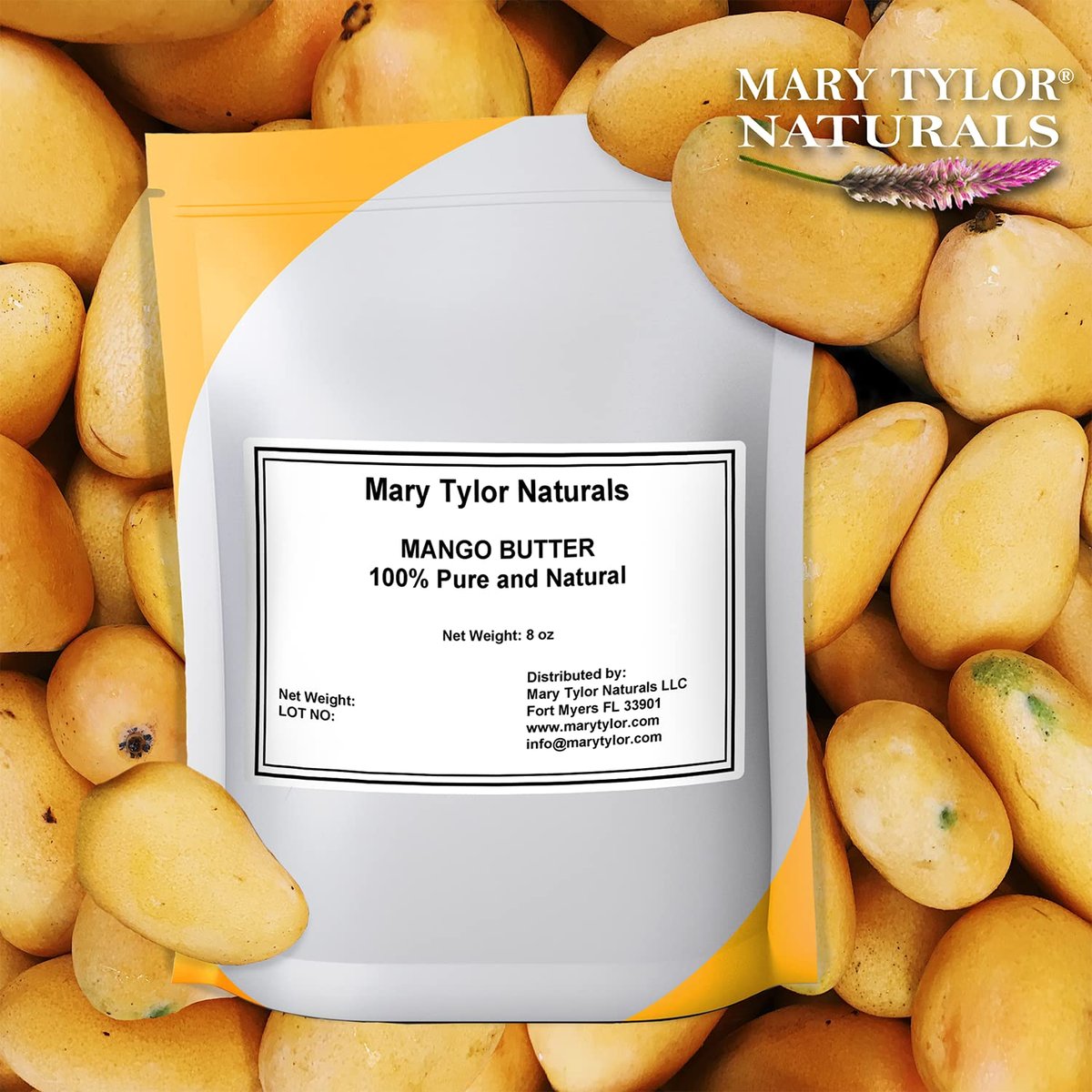 Mary Tylor Naturals Pure Mango Butter – 8 oz Cold Pressed, Unrefined, Raw for Hair, Skin & Nails Avelisse