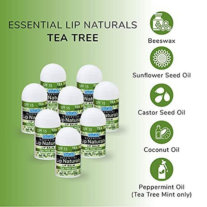 Lip Naturals Mini Tea Tree Balm with SPF 15 Sunscreen – 12-Pack, Made in USA with Coconut Oil Tea Tree Oil & Peppermint Oil Avelisse