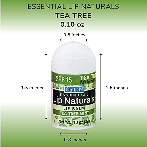 Lip Naturals Mini Tea Tree Balm with SPF 15 Sunscreen – 12-Pack, Made in USA with Coconut Oil Tea Tree Oil & Peppermint Oil Avelisse