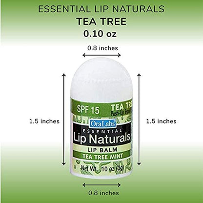 Lip Naturals Mini Tea Tree Balm with SPF 15 Sunscreen – 12-Pack, Made in USA with Coconut Oil Tea Tree Oil & Peppermint Oil Avelisse