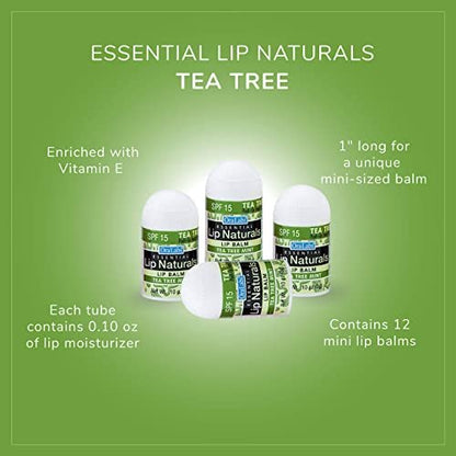 Lip Naturals Mini Tea Tree Balm with SPF 15 Sunscreen – 12-Pack, Made in USA with Coconut Oil Tea Tree Oil & Peppermint Oil Avelisse