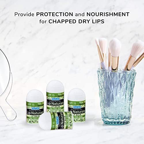 Lip Naturals Mini Tea Tree Balm with SPF 15 Sunscreen – 12-Pack, Made in USA with Coconut Oil Tea Tree Oil & Peppermint Oil Avelisse