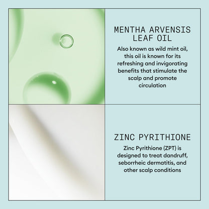 Nioxin Scalp Recovery System Scalp Soothing Serum with Pyrithione Zinc and Green Tea Extracts - 3.38 Fl Oz Avelisse