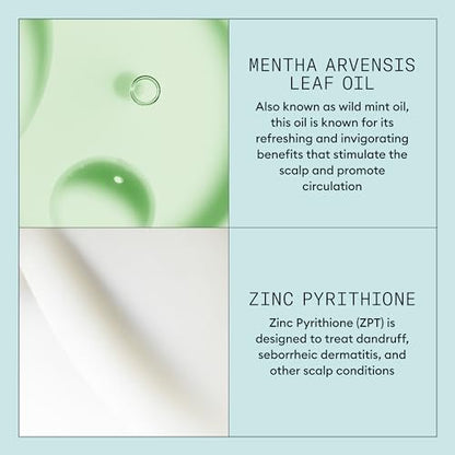 Nioxin Scalp Recovery System Scalp Soothing Serum with Pyrithione Zinc and Green Tea Extracts - 3.38 Fl Oz Avelisse