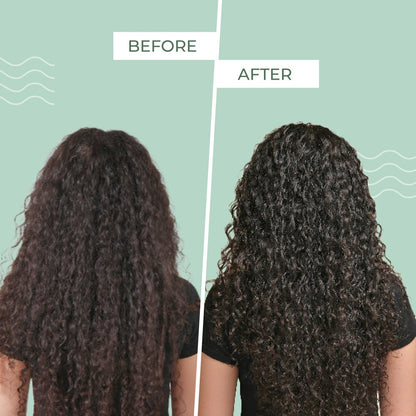 Ashba Botanics Leave-in Conditioner Frizzy Hair Fixer - Moisturizing Hair Cream for Dry & Dehydrated Hair with Rosemary Extracts - 8 Fl Oz