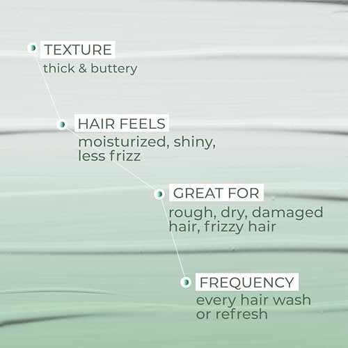 Ashba Botanics Leave-in Conditioner Frizzy Hair Fixer - Moisturizing Hair Cream for Dry & Dehydrated Hair with Rosemary Extracts - 8 Fl Oz - görsel 16