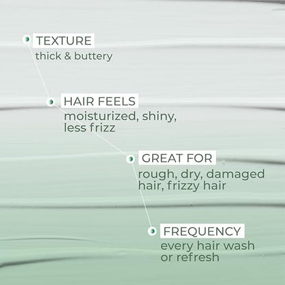 Ashba Botanics Leave-in Conditioner Frizzy Hair Fixer - Moisturizing Hair Cream for Dry & Dehydrated Hair with Rosemary Extracts - 8 Fl Oz