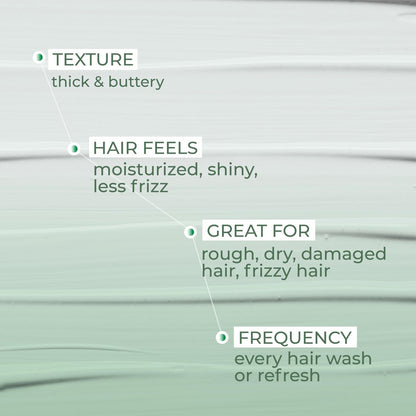 Ashba Botanics Leave-in Conditioner Frizzy Hair Fixer - Moisturizing Hair Cream for Dry & Dehydrated Hair with Rosemary Extracts - 8 Fl Oz