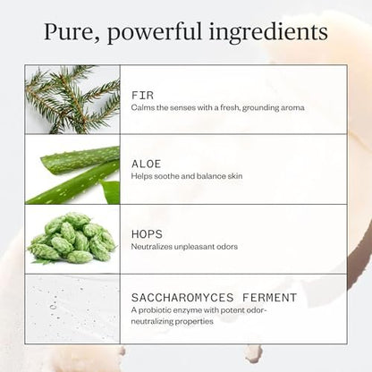 Ursa Major Natural Deodorant - Forest Fix | Aluminum-Free, Non-Staining & Cruelty-Free | 2.6 oz Avelisse