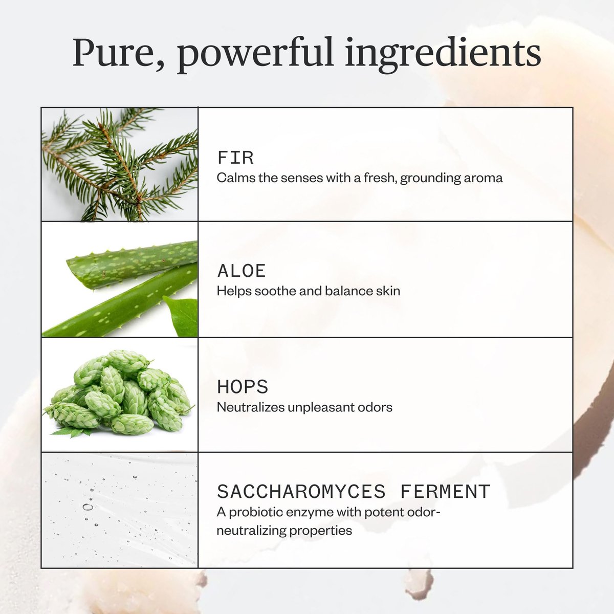 Ursa Major Natural Deodorant - Forest Fix | Aluminum-Free, Non-Staining & Cruelty-Free | 2.6 oz Avelisse