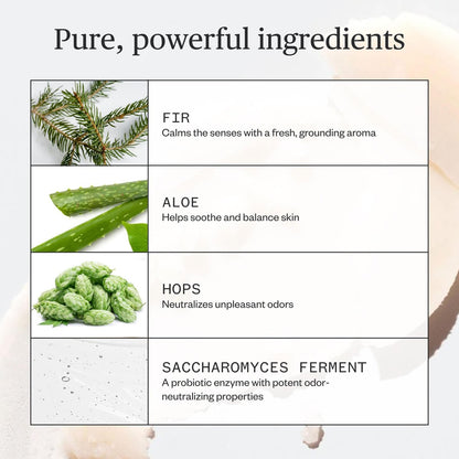Ursa Major Natural Deodorant - Forest Fix | Aluminum-Free, Non-Staining & Cruelty-Free | 2.6 oz Avelisse