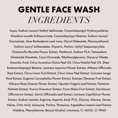 Hanz de Fuko Gentle Face Wash – Citrus & Crème Premium Facial Cleanser for Sensitive Skin, Hypoallergenic with Aloe Vera, Clove, Acai – Sulfate and Paraben Free – 8 oz