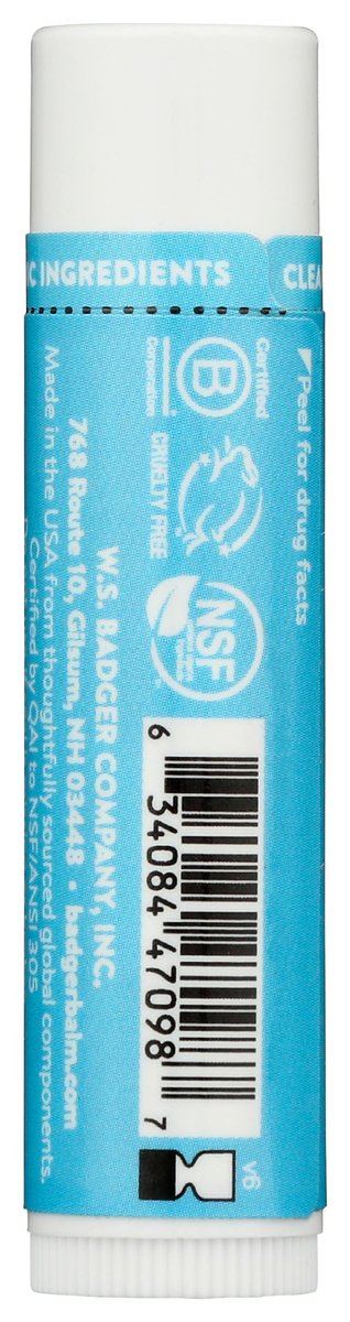 Badger Unscented SPF 15 Lip Balm with Organic Zinc Oxide - Reef-Safe, Broad Spectrum Sunscreen for Lips - görsel 3