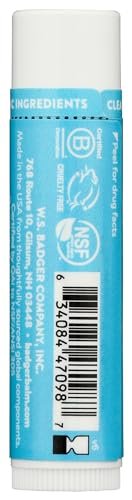 Badger Unscented SPF 15 Lip Balm with Organic Zinc Oxide - Reef-Safe, Broad Spectrum Sunscreen for Lips