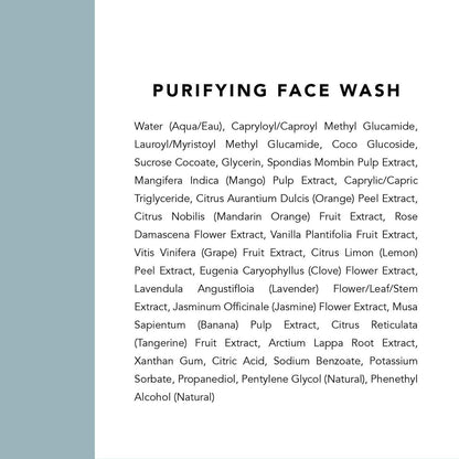 Indie Lee Purifying Face Wash - Daily Detox – Soothing Ingredients: Contains aloe vera and cucumber extract to – Image 15