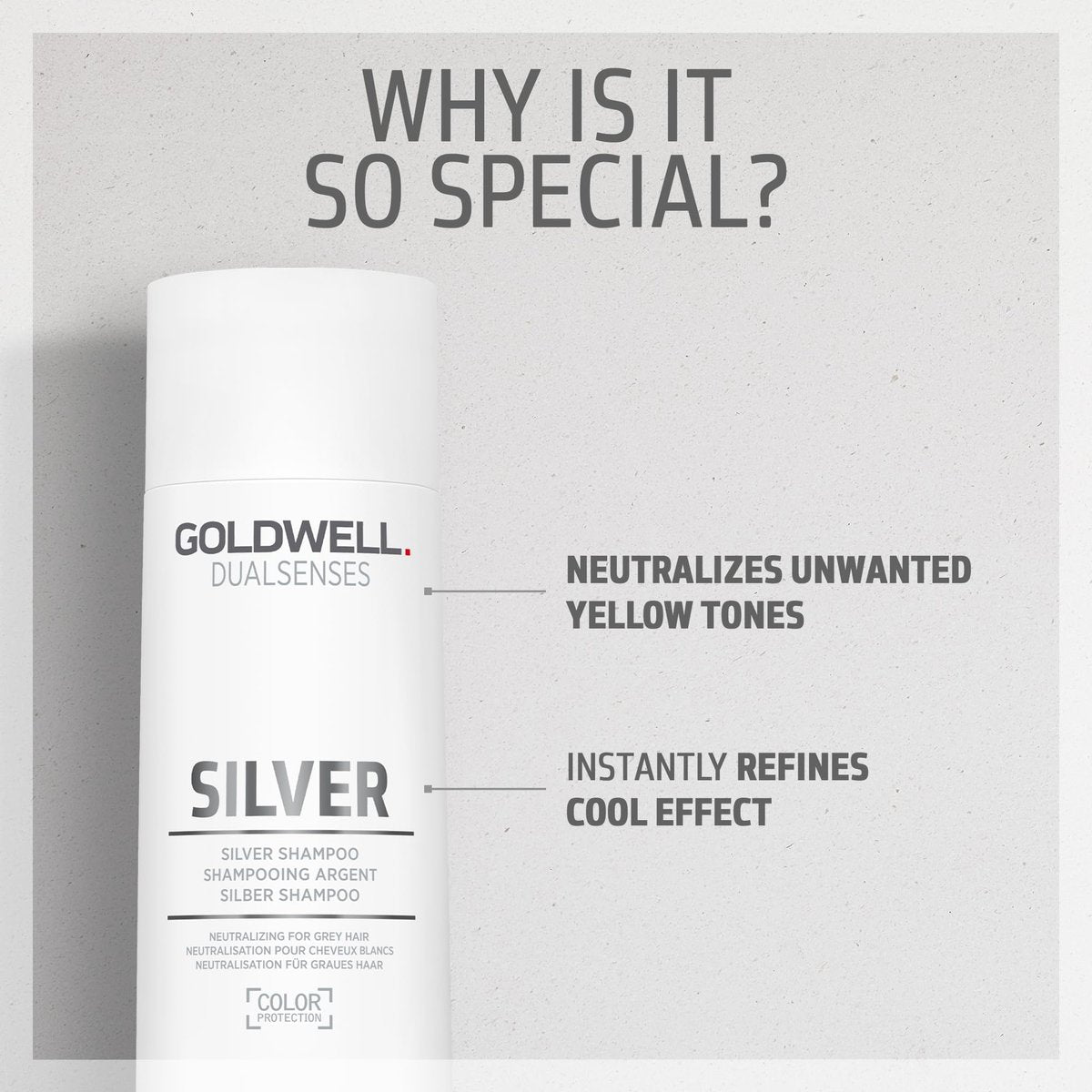 Goldwell Dualsenses Silver Shampoo 300mL – Neutralizes Brassiness for Cool Blonde & Gray Hair Avelisse