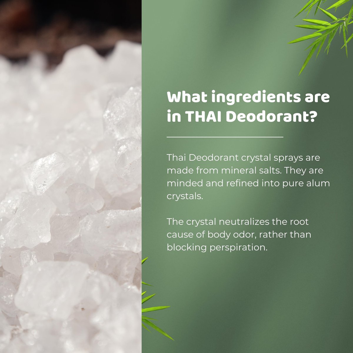 Thai Deodorant Stone Crystal Mist Natural Deodorant Spray 8 oz. Bundle (Pack of 3) – Aluminum-Free, Hypoallergenic, Long-Lasting Odor Protection - görsel 13