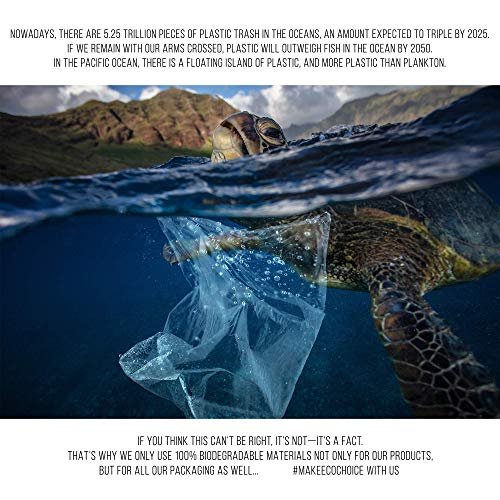 Premium 500 Biodegradable Bamboo Cotton Swabs | Zero Waste, Plastic-Free, Compostable Q Tips - görsel 18
