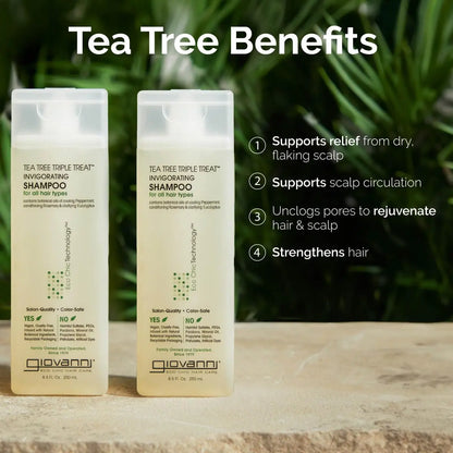 GIOVANNI Tea Tree Triple Treat Invigorating Shampoo - Cooling Peppermint, Eucalyptus & Rosemary - Helps Strengthen & Rejuvenate Hair & Scalp, Paraben Free, 24 oz Avelisse