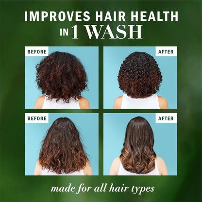 Herbal Essences Argan Oil Repair Shampoo & Conditioner Set - Moisturizing & Smoothing, Paraben-Free, Color-Safe, pH-Balanced, Citrus Scent, 20.2 Fl Oz Each (Pack of 2) Avelisse