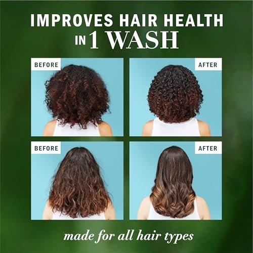 Herbal Essences Argan Oil Repair Shampoo & Conditioner Set - Moisturizing & Smoothing, Paraben-Free, Color-Safe, pH-Balanced, Citrus Scent, 20.2 Fl Oz Each (Pack of 2) Avelisse