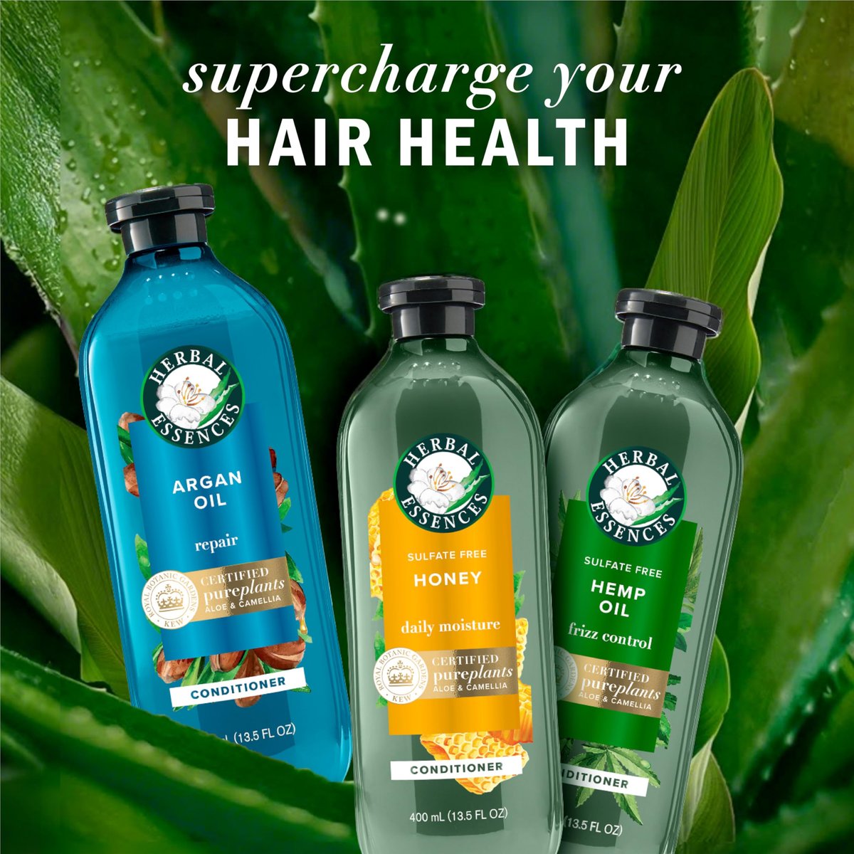 Herbal Essences Argan Oil Repair Shampoo & Conditioner Set - Moisturizing & Smoothing, Paraben-Free, Color-Safe, pH-Balanced, Citrus Scent, 20.2 Fl Oz Each (Pack of 2) Avelisse