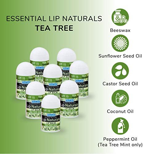 CHAP-ICE Lip Naturals Assorted Mini Lip Balm with SPF-15 Sunscreen, 12-Count Pack (Bing Cherry, Tea Tree Mint, Vanilla Bean) Avelisse