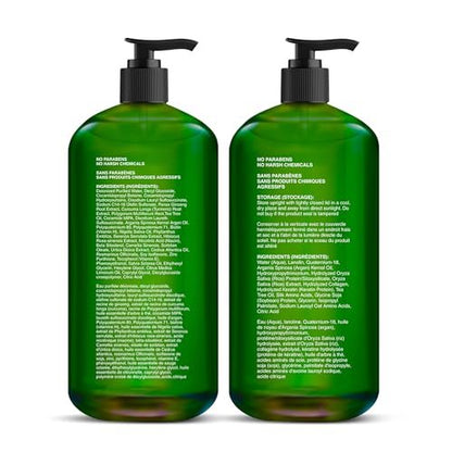 Majestic Pure Tea Tree Shampoo – Hydrating Dandruff Control for Men & Women, Sulfate Free, 16 fl oz (Pack of 2) Avelisse