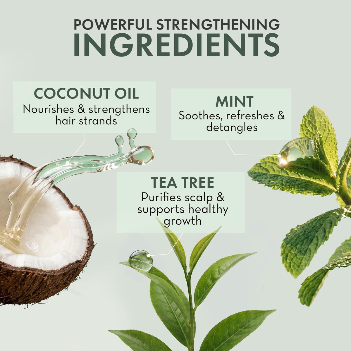 Leave In Conditioner Spray - Tea Tree Scalp Treatment - Anti-Dandruff & Itchy Scalp Relief, Hydrating & Medicated Formula for Psoriasis Care - Detangles & Nourishes Hair (8 Fl Oz) - görsel 7