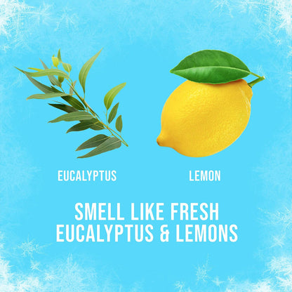 Axe Ice Chill Deodorant Body Spray – Frozen Lemon & Eucalyptus – 4 oz (Pack of 3) Avelisse