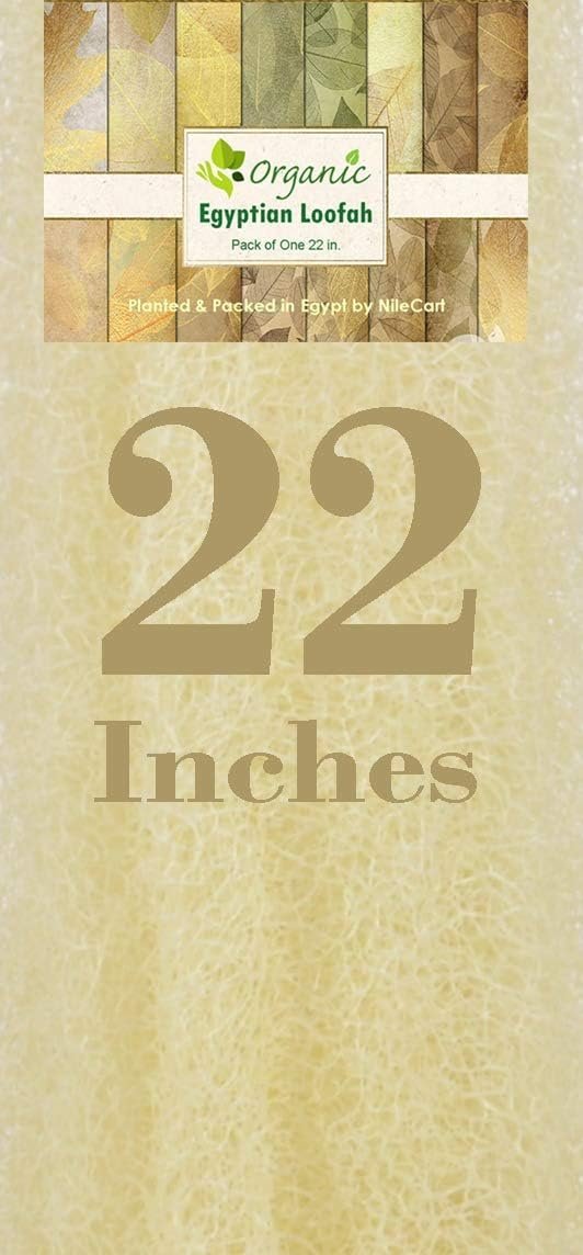NileCart 22 Inch Egyptian Loofah Natural Luffa Sponges for Shower - Exfoliating Body Scrubber for Men & Women Avelisse