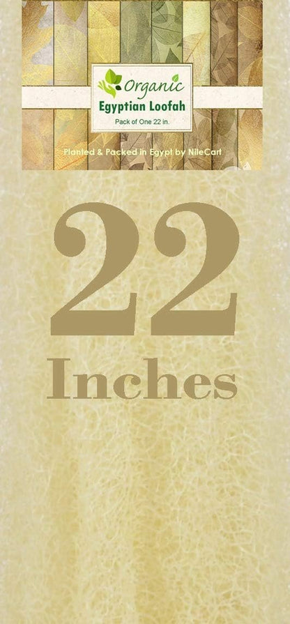 NileCart 22 Inch Egyptian Loofah Natural Luffa Sponges for Shower - Exfoliating Body Scrubber for Men & Women Avelisse