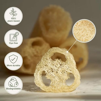 NileCart 22 Inch Egyptian Loofah Natural Luffa Sponges for Shower - Exfoliating Body Scrubber for Men & Women Avelisse