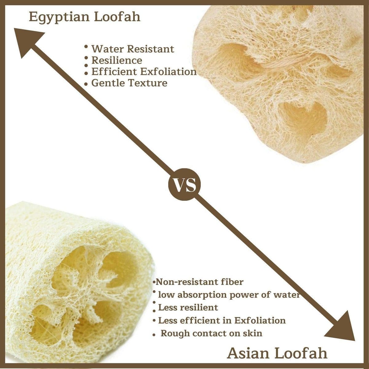 NileCart 22 Inch Egyptian Loofah Natural Luffa Sponges for Shower - Exfoliating Body Scrubber for Men & Women Avelisse