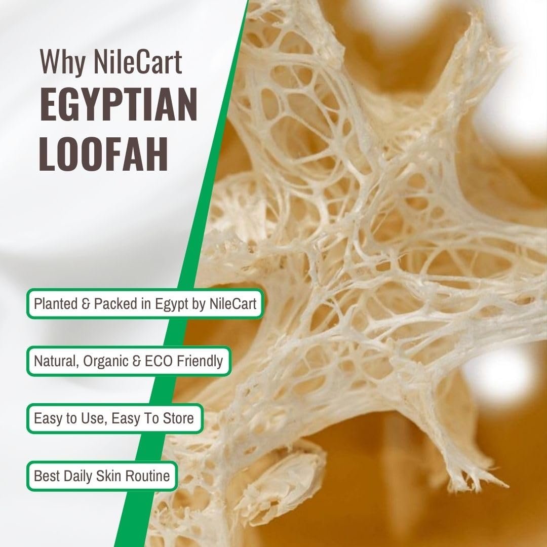 NileCart 22 Inch Egyptian Loofah Natural Luffa Sponges for Shower - Exfoliating Body Scrubber for Men & Women Avelisse