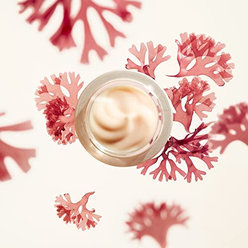 Shiseido Benefiance Wrinkle Smoothing Cream – Anti-Aging Moisturizer for Normal & Combination Skin, 1.7 oz Avelisse