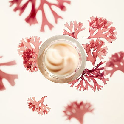 Shiseido Benefiance Wrinkle Smoothing Cream – Anti-Aging Moisturizer for Normal & Combination Skin, 1.7 oz Avelisse