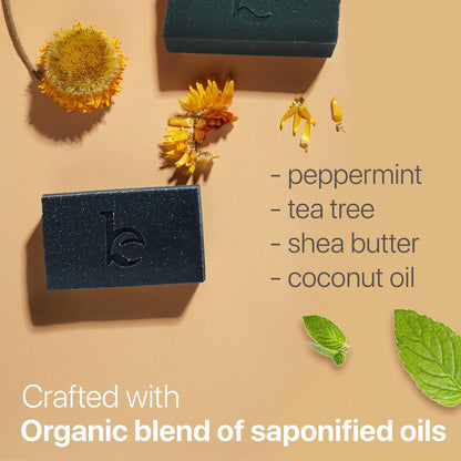 Beauty by Earth Peppermint Tea Tree Charcoal Facial Bar Soap - Natural & Organic Face Wash for Acne, Eczema, Psoriasis - Detoxifying Black Soap for Oily & Sensitive Skin (4 oz) Avelisse
