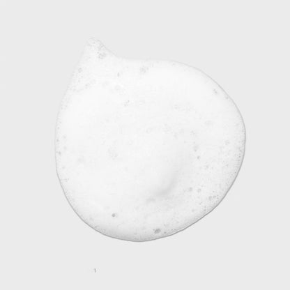 Tea Tree Lavender Mint Curl Refresh Foam - Moisturizing Hair Mousse for Coarse, Curly & Dry Hair (6.8 fl oz) Avelisse
