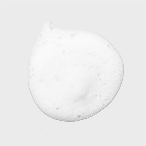 Tea Tree Lavender Mint Curl Refresh Foam - Moisturizing Hair Mousse for Coarse, Curly & Dry Hair (6.8 fl oz) Avelisse