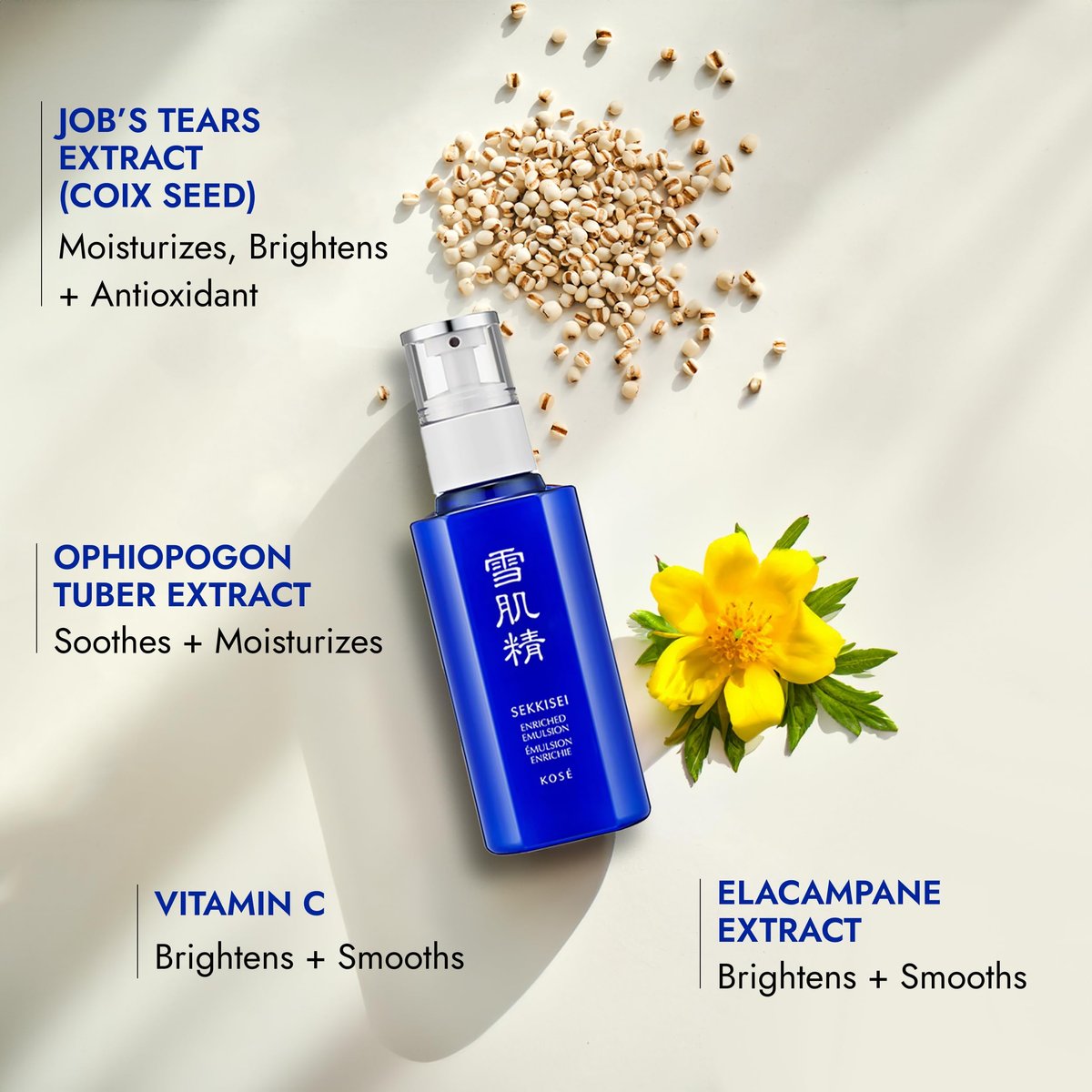 SEKKISEI Enriched Emulsion Hydrating Face Cream Serum - 4.7 oz | Intense Moisturizer for Radiant Skin Avelisse