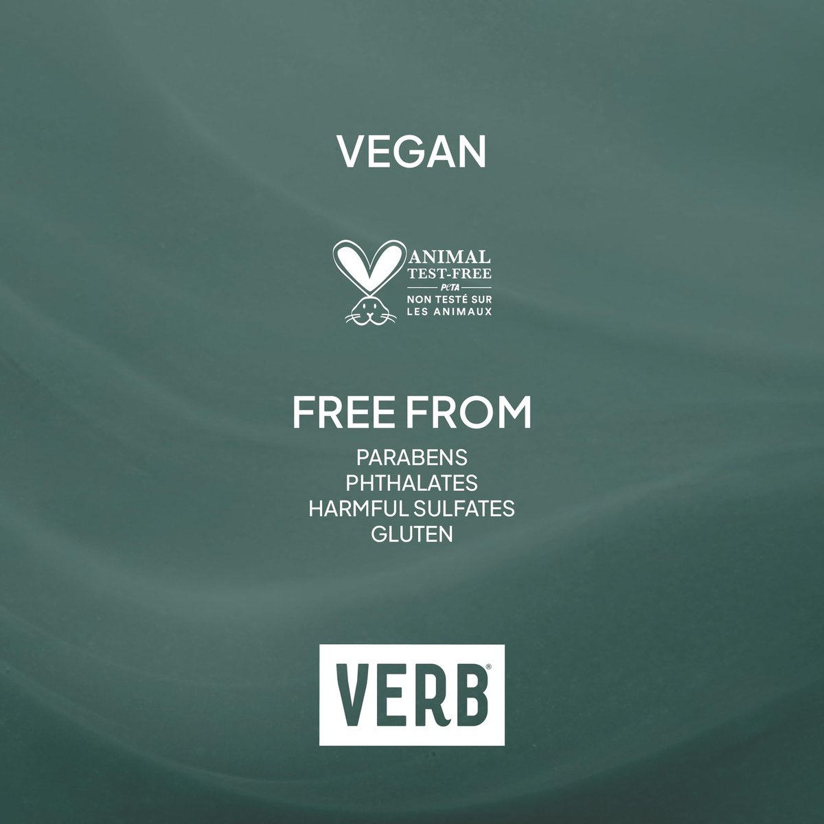 VERB Ghost Hair Mask – Deep Conditioning Hair Treatment with Moringa Oil, Defrizz & Shine, Vegan & Sulfate-Free, 6.3 fl oz Avelisse