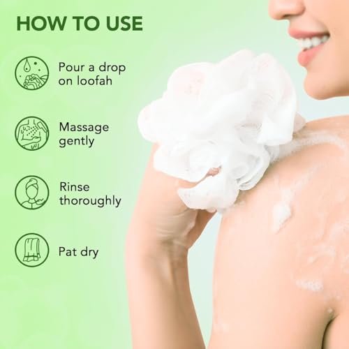 Botanic Hearth Tea Tree Body Wash - Natural Antifungal & Odor Control Shower Gel for Acne, Athlete's Foot, Ringworm, Jock Itch - Sulfate & Paraben Free - 16 fl oz (Pack of 2) Avelisse