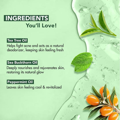 Botanic Hearth Tea Tree Body Wash - Natural Antifungal & Odor Control Shower Gel for Acne, Athlete's Foot, Ringworm, Jock Itch - Sulfate & Paraben Free - 16 fl oz (Pack of 2) Avelisse