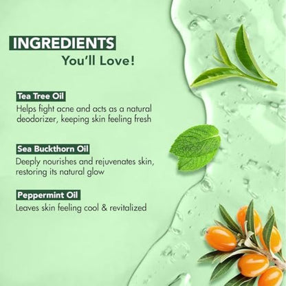 Botanic Hearth Tea Tree Body Wash - Natural Antifungal & Odor Control Shower Gel for Acne, Athlete's Foot, Ringworm, Jock Itch - Sulfate & Paraben Free - 16 fl oz (Pack of 2) Avelisse