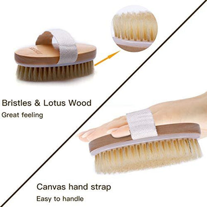 Ithyes Dry Brushing Body Brush – Natural Bristle Exfoliating Brush for Lymphatic Drainage, Cellulite & Circulation