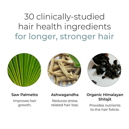 Hush & Hush Biotin and Collagen Hair Growth Supplements – Hair Vitamins for Women with Ashwagandha – Supports Regrowth, Thicker Hair & Volume – Reduces Hair Loss & Thinning – 120 Capsules Avelisse