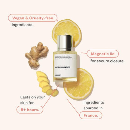 Dossier Citrus Ginger Eau de Parfum for Men | Luxury Fragrance 50ml Avelisse